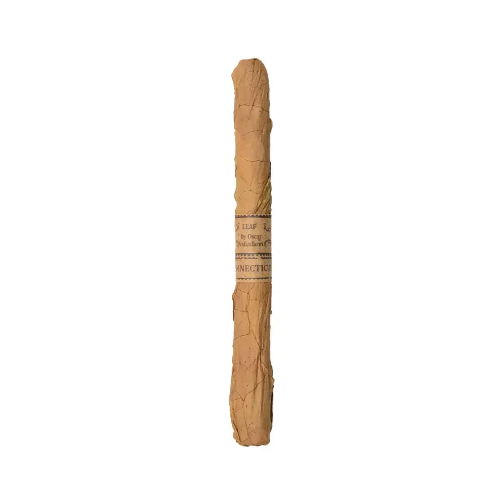 Leaf By Oscar Connecticut Lancero