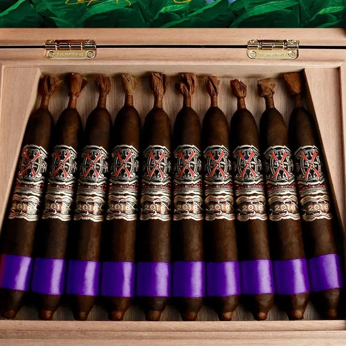 FFOX Heaven and Earth BBMF Maduro