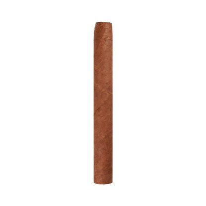 Ashton Small Cigars Senoritas - White Box