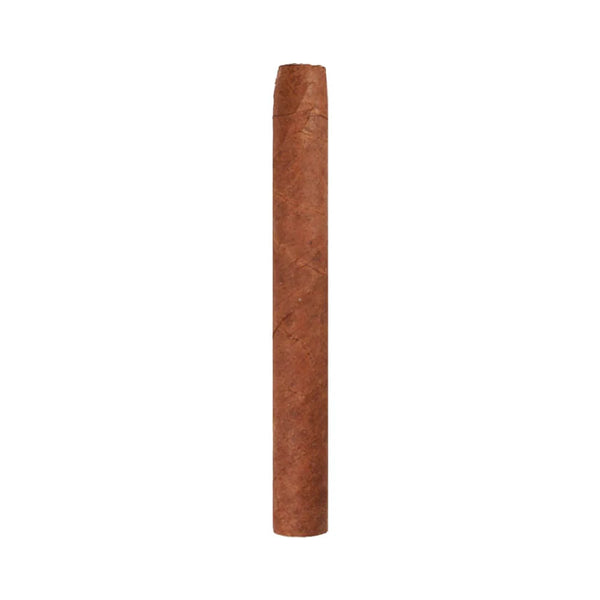 Ashton Small Cigars Senoritas - White Box