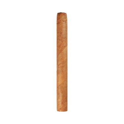 Ashton Small Cigars Senoritas Connecticut - Blue Box