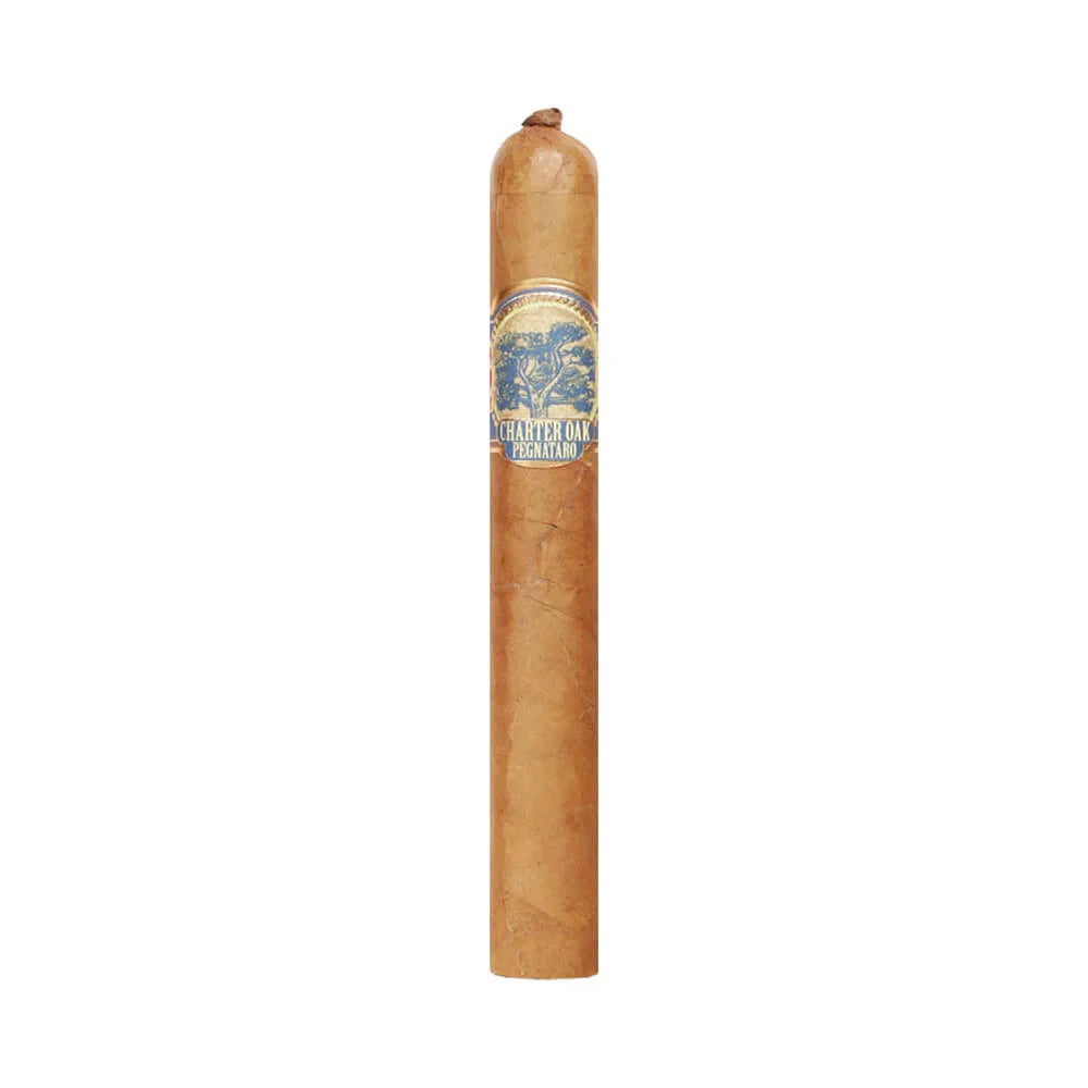 Foundation Charter Oak Pegnataro Shade Corona Gorda