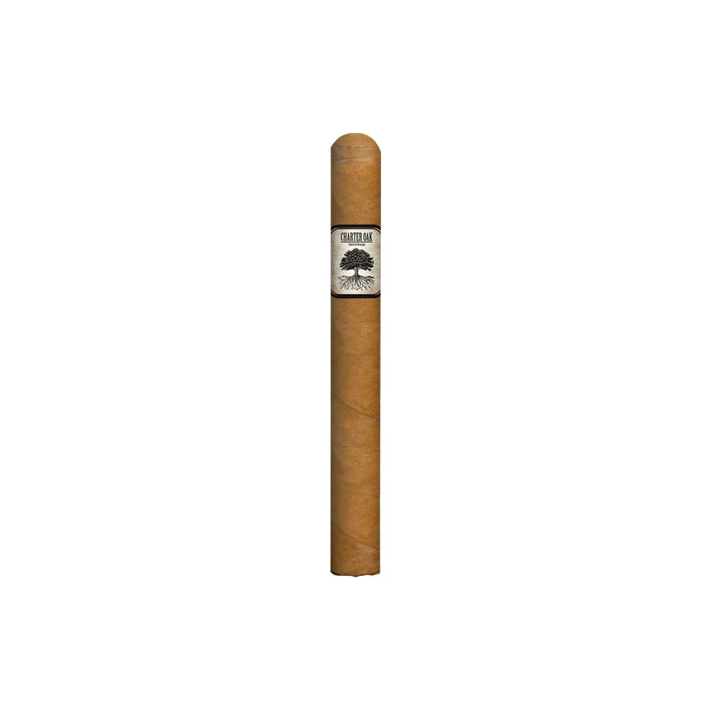 Foundation Charter Oak Shade Lonsdale