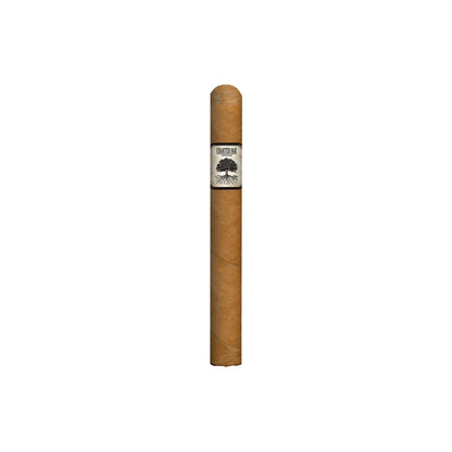 Foundation Charter Oak Shade Lonsdale