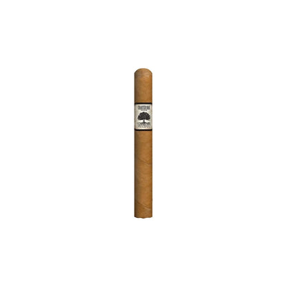Foundation Charter Oak Shade Petite Corona