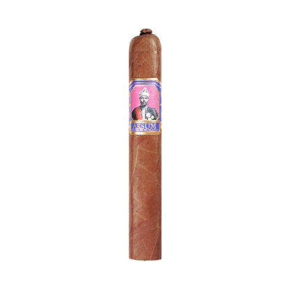 Foundation Metapa Claro Robusto Single Cigar