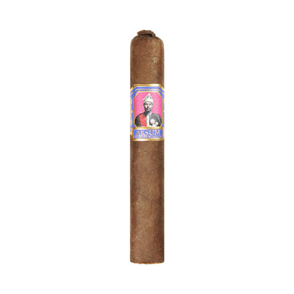 Foundation Metapa Maduro Robusto Single Cigar