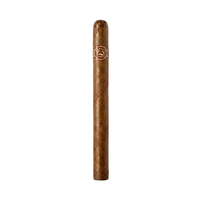 Padron Thousand Series Panatela Natural Single Cigar